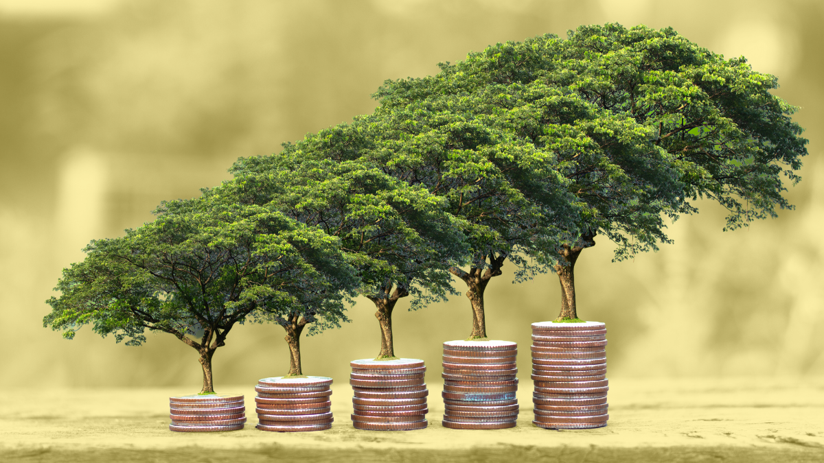 Monedas apiladas en cinco columnas. Sobre cada una de ellas, crecen mini-árboles.
